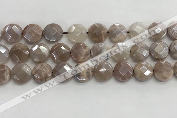 CMS1791 15.5 inches 14mm faceted coin AB-color moonstone beads