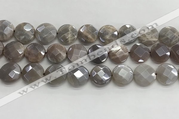 CMS1792 15.5 inches 16mm faceted coin AB-color moonstone beads