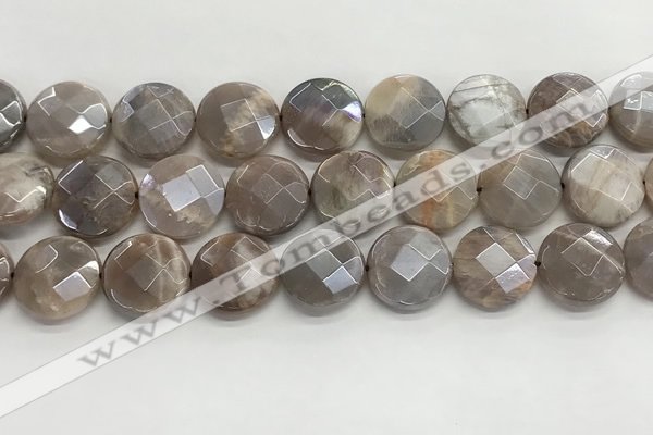 CMS1793 15.5 inches 18mm faceted coin AB-color moonstone beads
