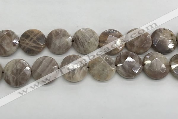 CMS1794 15.5 inches 20mm faceted coin AB-color moonstone beads