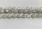 CMS1807 15.5 inches 10*14mm faceted oval AB-color moonstone beads