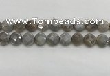 CMS1819 15.5 inches 14mm faceted coin AB-color moonstone beads