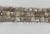 CMS1828 15.5 inches 12*12mm faceted square AB-color moonstone beads