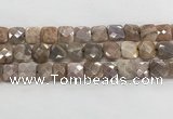 CMS1830 15.5 inches 14*14mm faceted square AB-color moonstone beads