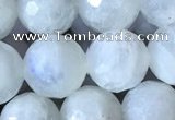 CMS1862 15.5 inches 10mm faceted round white moonstone gemstone beads