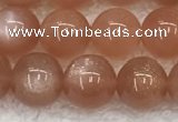 CMS1898 15.5 inches 10mm round moonstone gemstone beads