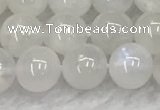 CMS1902 15.5 inches 8mm round white moonstone gemstone beads