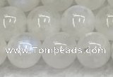 CMS1903 15.5 inches 10mm round white moonstone gemstone beads