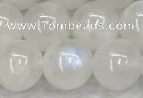 CMS1904 15.5 inches 12mm round white moonstone gemstone beads