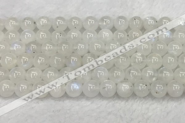 CMS1904 15.5 inches 12mm round white moonstone gemstone beads