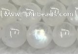 CMS1908 15.5 inches 10mm round white moonstone gemstone beads