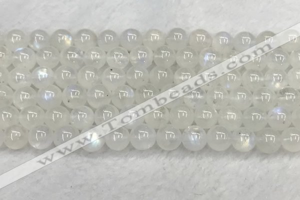 CMS1908 15.5 inches 10mm round white moonstone gemstone beads