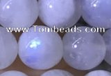 CMS1923 15.5 inches 10mm round white moonstone gemstone beads