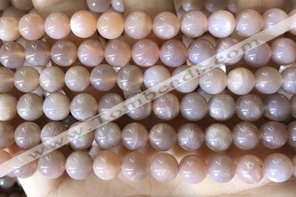 CMS1931 15.5 inches 8mm round moonstone beads wholesale