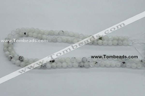 CMS201 15.5 inches 6mm round moonstone gemstone beads wholesale