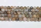 CMS2012 15.5 inches 10mm round moonstone gemstone beads