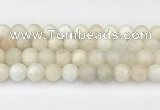 CMS2029 15.5 inches 10mm round white moonstone beads wholesale