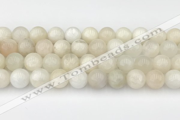 CMS2029 15.5 inches 10mm round white moonstone beads wholesale