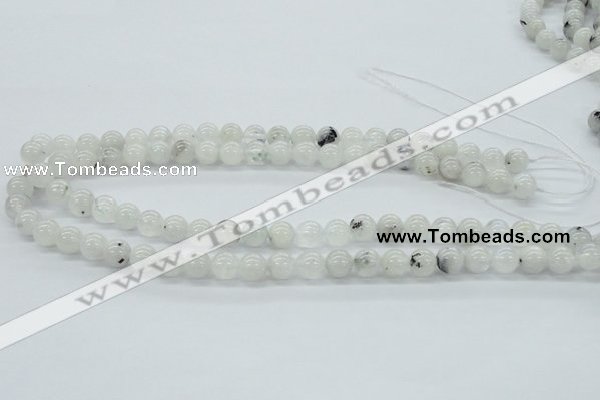 CMS203 15.5 inches 9mm round moonstone gemstone beads wholesale