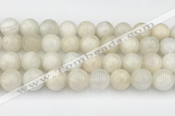 CMS2030 15.5 inches 12mm round white moonstone beads wholesale