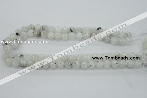 CMS204 15.5 inches 10mm round moonstone gemstone beads wholesale