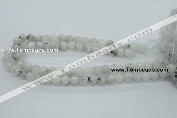 CMS205 15.5 inches 11mm round moonstone gemstone beads wholesale