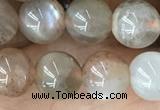 CMS2060 15.5 inches 8mm round moonstone gemstone beads