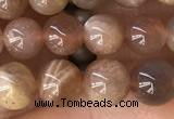 CMS2062 15.5 inches 6mm round moonstone gemstone beads