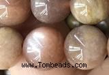 CMS2064 15.5 inches 10mm round moonstone gemstone beads