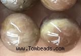 CMS2065 15.5 inches 12mm round moonstone gemstone beads