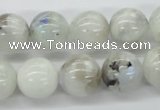 CMS207 15.5 inches 14mm round moonstone gemstone beads wholesale