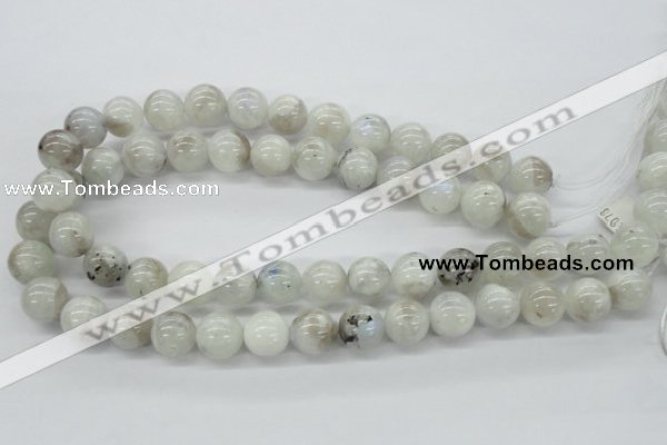 CMS207 15.5 inches 14mm round moonstone gemstone beads wholesale