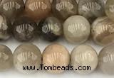 CMS2087 15 inches 8mm round moonstone gemstone beads