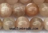 CMS2110 15 inches 7mm round moonstone beads