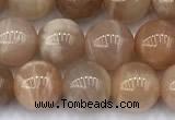 CMS2111 15 inches 8mm round moonstone beads