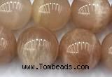 CMS2113 15 inches 10mm round moonstone beads