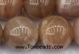CMS2115 15 inches 12mm round moonstone beads