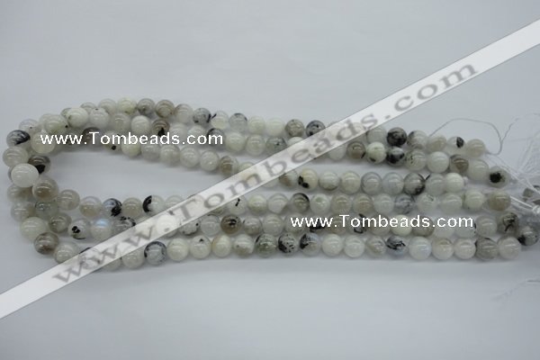 CMS216 15.5 inches 8mm round white moonstone gemstone beads