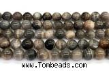 CMS2289 15 inches 10mm round grey moonstone beads wholesale