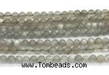 CMS2294 15 inches 6mm round grey moonstone beads wholesale