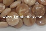 CMS23 15.5 inches 14mm flat round moonstone gemstone beads wholesale