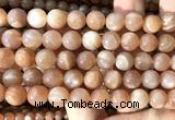 CMS2308 15 inches 10mm round moonstone gemstone beads