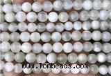 CMS2351 15 inches 8mm round white moonstone beads wholesale