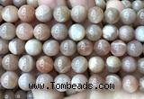 CMS2357 15 inches 10mm round moonstone beads wholesale