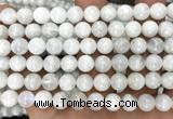 CMS2368 15 inches 8mm round white moonstone beads wholesale