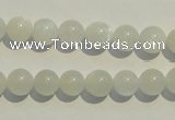 CMS251 15.5 inches 8mm round natural moonstone gemstone beads