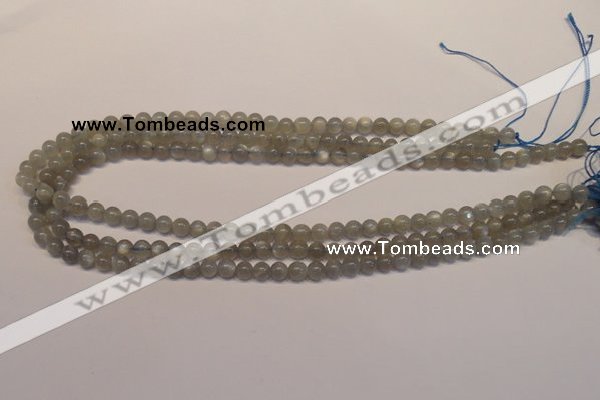 CMS300 15.5 inches 5mm round natural grey moonstone beads wholesale