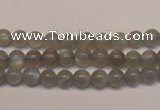 CMS301 15.5 inches 6mm round natural grey moonstone beads wholesale