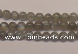 CMS302 15.5 inches 7mm round natural grey moonstone beads wholesale