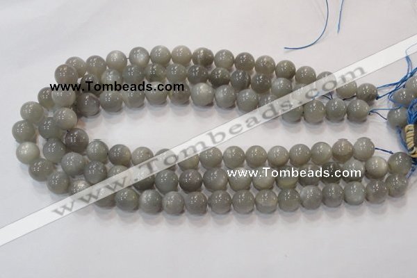 CMS303 15.5 inches 8mm round natural grey moonstone beads wholesale